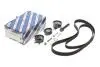 Комплект ГРМ + ПНВТ VW LT/T4 2.5TDI 96-06 (26x122z/21x81z) (2 ремені) 1 987 948 049 BOSCH 1987948049 (фото 2)