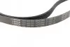 Ремень генератора Audi A6 S6/RS6 quattro 99-05/A8 3.7/4.2/S8 quattro 94-02 (6PK2680) BOSCH 1 987 948 323 (фото 2)
