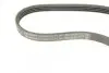 Ремінь генератора Opel Agila 1.0/1.2 08-14/Suzuki Swift 1.2 10- (4PK760) BOSCH 1 987 948 337 (фото 5)