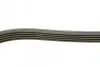 Ремінь генератора BMW 5 (E39)/7 (E38) 2.5TDS 96-04/Kia Cerato/Rio/Hyundai Accent 1.5/1.6CRDI 05- BOSCH 1 987 948 396 (фото 3)