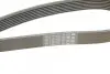 Ремень генератора Iveco Daily III/IV/VI 2.3 JTD 02- (7PK1325) BOSCH 1 987 948 397 (фото 4)