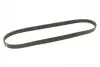 Ремінь генератора Fiat Tempra 1.9TD 90-96 (5PK900) BOSCH 1 987 948 398 (фото 2)