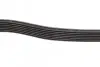 Ремень генератора Ford Transit 2.4 DI-2.4TDCI 00-06 (7PK2875) BOSCH 1 987 948 401 (фото 4)