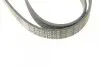 Ремінь генератора Opel Astra J/Corsa D 1.7CDTI 09-15/Ford Focus 1.8TDCi 98-04 (6PK1715) BOSCH 1 987 948 453 (фото 3)