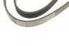 Ремінь генератора Audi 100/A6 2.3 90-97/Seat Toledo 2.3 V5 98-00 (6PK1293) BOSCH 1 987 948 487 (фото 5)