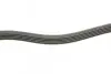 Ремень генератора Smart Fortwo 0.8CDI 04- (5PK768) BOSCH 1 987 948 489 (фото 3)