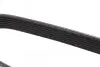 Ремень генератора Ford Transit 2.4 TDCi 06- (7PK2842) BOSCH 1 987 948 499 (фото 2)