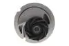 Комплект ГРМ + помпа Opel Astra G/H/Vectra 1.8 16V 98-10 (20x162z) BOSCH 1987948749 (фото 4)