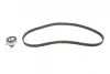 Комплект ГРМ Opel Astra F/Omega A/B/Vectra A/B 1.6/1.8/2.0i 88-03 (20x146z) BOSCH 1987948994 (фото 6)