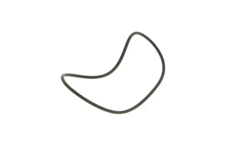 Прокладка топливного насоса Man TGX (100x3) BOSCH 2410210014