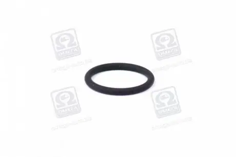 Ущільнювальне кільце BOSCH F00RJ00534