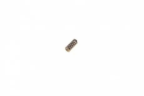 ПРУЖИНА КЛАПАНА BOSCH F 00R J00 657