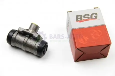 Тормозной цилиндр колесный Transit T15 91-00 BSG BSG 30-220-008