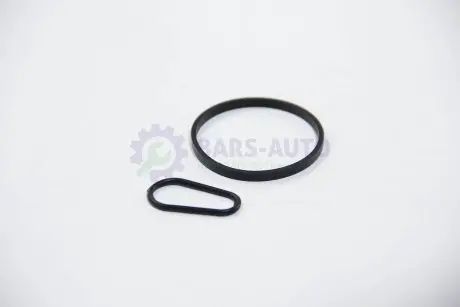 Прокладка вакуумного насоса Focus III/Fiesta VI/VII/Connect 1.5/1.6TDCI 08- (к-кт) BSG BSG 30-235-008