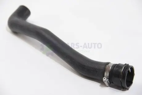 Патрубок радиатора Ford Fiesta/Fusion 1.4/1.6 01-12 (верхній) BSG BSG 30-720-119