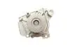 Помпа води Honda Accord VI 1.6/i/LS/Civic V/VI 1.4-1.6 16V 95-02/HR-V 1.6 16V 99- (B/B)(7лоп) BUGATTI PA10035 (фото 3)