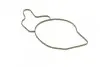 Насос воды MB E-class (W210/S210) 3.2CDI 99-03 (B/B) (8 лоп) BUGATTI PA10037 (фото 9)