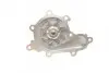 Насос воды Nissan X-Trail/Almera/Primera 2.2dCi/Di 00- (R/B) (8 лоп) BUGATTI PA10053 (фото 8)