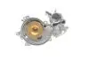Насос воды BMW (E53) X5 4.4i/4.8is/5 (E60-61) 545i/6 (E63-64) 645ci/7 (E65-67) 01-10 (R/B) (8 лоп.) BUGATTI PA10206 (фото 2)