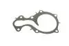 Помпа води Ford C-Max II/Focus III/Mondeo V/Fiesta/Transit Courier 1.0 EcoBoost/1.1 12- (R/B)(6 лоп) BUGATTI PA10223 (фото 7)