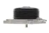Насос воды MB C-class (W204)/E-class (W212)/Vito (W447) 2.2CDI OM651 08- (Switch)(R/B)(7 лоп)(6кан) BUGATTI PA10249 (фото 4)
