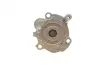 Насос воды Seat Cordoba/Ibiza/Skoda Fabia/VW Polo V 1.9SDI 99-09 (R/B) (7 лоп) BUGATTI PA10267 (фото 7)