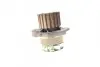 Насос воды Seat Cordoba/Ibiza/Skoda Fabia/VW Polo V 1.9SDI 99-09 (R/B) (7 лоп) BUGATTI PA10267 (фото 8)