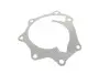 Насос воды Nissan Trade/Urvan 2.5D/3.0D 96-06 BUGATTI PA10305 (фото 11)
