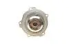 Помпа води Audi A4/A6/Skoda Felicia/VW Golf/Caddy/Passat/Polo 1.9D/TDI/SDI 95- (R/B)(6лоп) BUGATTI PA5108 (фото 2)