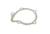 Помпа води Peugeot 205/305/306/309/405 1.7D/1.8TD/XDT/1.9D/TD/SRDT/STD 86-02 (B/B) (7 лоп) BUGATTI PA5502 (фото 8)