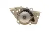 Помпа води Citroen Xantia/Xsara/Peugeot 306/406 1.8i 16V 95-03 (20z) (B/B) (6 лоп) BUGATTI PA5505 (фото 6)