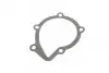 Насос воды Citroen C4/C5/C8/Jumpy/Berlingo 2.0HDi/Fiat Scudo/Ducato 1.9D/2.0JTD 98- (B/B)(7лоп) BUGATTI PA5509 (фото 9)