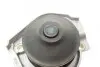 Насос воды Fiat Doblo 1.2 01-05/Panda/Punto 1.1/1.2 04- (24z) (B/B) (8 лоп.) BUGATTI PA5942 (фото 7)