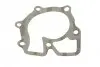 Насос воды Ford Transit 2.5D/TD 85-00/LDV Convoy 2.5DI/TDI 98-09 BUGATTI PA6003 (фото 7)