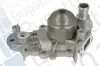 Помпа води Renault Kangoo/Clio/Twingo 1.2 98-/Nissan Kubistar 1.2 03- (B/B) (6 лоп) BUGATTI PA7717 (фото 2)