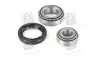 Подшипник ступицы FORD передн./задн. мост (COMPLEX) COMPLEX AUTOMOTIVE BEARINGS Sp.z.o.o. COMPLEX AUTOMOTIVE BEARINGS Sp.z.o.o. CX005 (фото 1)