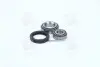 Подшипник ступицы FORD передн./задн. мост (COMPLEX) COMPLEX AUTOMOTIVE BEARINGS Sp.z.o.o. COMPLEX AUTOMOTIVE BEARINGS Sp.z.o.o. CX006 (фото 1)