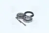 Подшипник ступицы AUDI, VW задн. мост (COMPLEX) COMPLEX AUTOMOTIVE BEARINGS Sp.z.o.o. COMPLEX AUTOMOTIVE BEARINGS Sp.z.o.o. CX009 (фото 1)