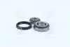 Подшипник ступицы FORD TRANSIT передн. мост (COMPLEX) COMPLEX AUTOMOTIVE BEARINGS Sp.z.o.o. COMPLEX AUTOMOTIVE BEARINGS Sp.z.o.o. CX031 (фото 1)