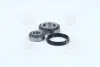 Подшипник ступицы FORD TRANSIT передн. мост (COMPLEX) COMPLEX AUTOMOTIVE BEARINGS Sp.z.o.o. COMPLEX AUTOMOTIVE BEARINGS Sp.z.o.o. CX031 (фото 4)