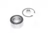 Подшипник ступицы CITROEN, PEUGEOT передн. мост (COMPLEX) COMPLEX AUTOMOTIVE BEARINGS Sp.z.o.o. COMPLEX AUTOMOTIVE BEARINGS Sp.z.o.o. CX038 (фото 2)