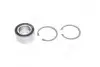 Подшипник ступицы VW PASSAT IV, V передн./задн. мост (COMPLEX) COMPLEX AUTOMOTIVE BEARINGS Sp.z.o.o. COMPLEX AUTOMOTIVE BEARINGS Sp.z.o.o. CX040 (фото 1)