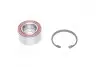 Подшипник ступицы FIAT передн. мост (COMPLEX) COMPLEX AUTOMOTIVE BEARINGS Sp.z.o.o. COMPLEX AUTOMOTIVE BEARINGS Sp.z.o.o. CX069 (фото 1)