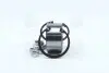 Подшипник ступицы VW PASSAT II, III передн./задн. мост (COMPLEX) COMPLEX AUTOMOTIVE BEARINGS Sp.z.o.o. COMPLEX AUTOMOTIVE BEARINGS Sp.z.o.o. CX085 (фото 2)