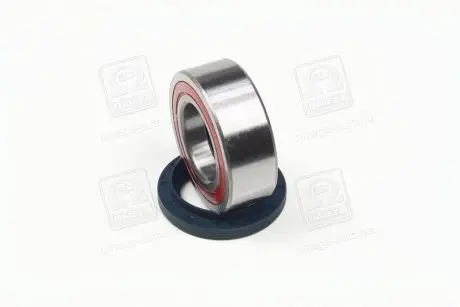 Подшипник ступицы FORD TRANSIT задн. мост (COMPLEX) COMPLEX AUTOMOTIVE BEARINGS Sp.z.o.o. COMPLEX AUTOMOTIVE BEARINGS Sp.z.o.o. CX255