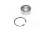 Подшипник ступицы PEUGEOT EXPERT передн. мост (COMPLEX) COMPLEX AUTOMOTIVE BEARINGS Sp.z.o.o. COMPLEX AUTOMOTIVE BEARINGS Sp.z.o.o. CX566 (фото 1)