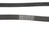 Ремень генератора MB A-Class (W169)/B-class (W245) 2.0 CDI (OM640) 04-12 CONTINENTAL 5PK1310 (фото 3)