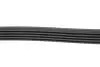 Ремень генератора MB E-class (W213)/V-class (W447) 16-/GLX (X253) 2.0D (OM654) 19- CONTINENTAL 5PK1960 (фото 3)