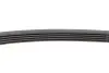 Ремінь генератора Ford Mondeo IV 2.5 07-15/Volvo S60/S80/V60/V70/XC60/XC70 07-16 CONTINENTAL 5PK628ELAST (фото 4)