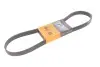 Ремінь генератора Citroen Berlingo/Peugeot Partner 1.6 BlueHDi 08- CONTINENTAL 6PK1004EXTRA (фото 2)